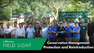 Conservation Management