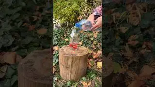 Survival Skills 🔥 Girl shows you amazing Hack #outdoors #camping #bushcraft