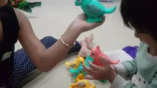 Kids love parrots they play them so much w