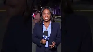 News Anchor vs Florida Man (She Lost) 📺