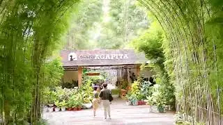 Cafe Agapita, Silang,  Philippines@5