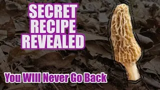 SECRET Morel MUSHROOM Recipe REVEALED!! | Use on Chicken, Pork & MORE | PlugMaster Ford