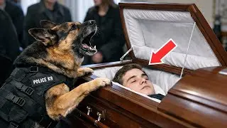 Police Dog Wouldn&rsquo;t Stop Barking at an Officer&rsquo;s Coffin &mdash; What They Found Next Shocked Everyone!