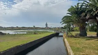 Diep River where it flows into Little Princess Vlei between Heathfield and Elfindale 