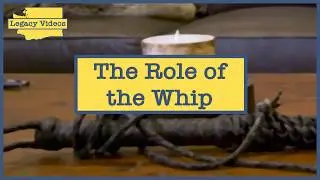 Legislative Branch Explained - The Role of the Whip