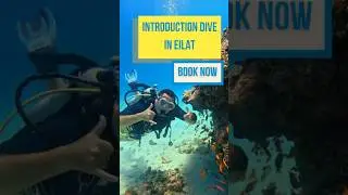 Diving in Eilat, Israel &mdash; Dive into the Beauty of the Red Sea