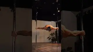 Crazy Maltese on bar #motivation #king #crazyskills #static #streetworkout #maltese #calisthenics