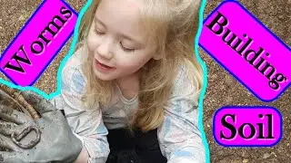 Building my Soil with Worms