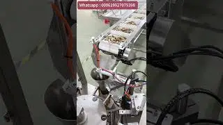Automatic Nuts Packing Machine Doypack Filling Grountnut Cashew Nuts Stand up Bag Packing Machine