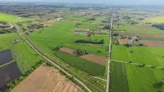 Knyszyn Zamek żniwa 2025
