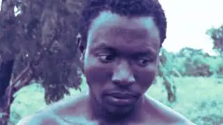 YELLI EP3 SANDAANI