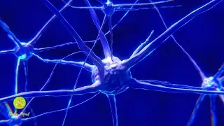 SOFORT! Das Vegetatives Nervensystem Beruhigen
