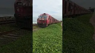 Class S11-910 Red Indian train 🚄 Diesel Electrical multiple unit DEMU train #train #travel #railway