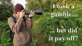 I took a gamble! Early morning wildlife photography