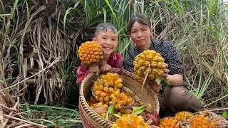 Harvesting Sea Pineapples, Cucumbers, and Octopuses to Sell at the Market to Cover Daily Living
