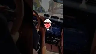 Other Driving Skill vs The Last one!😱☠️ #edit #car #dog #newyork #usa