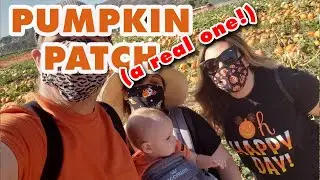Our REAL Pumpkin patch adventure and wagon ride at Tanaka Farms