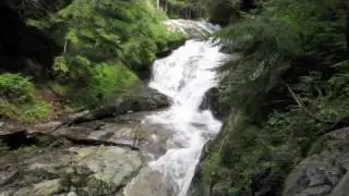 Waterfall Installment #3: Denny Creek