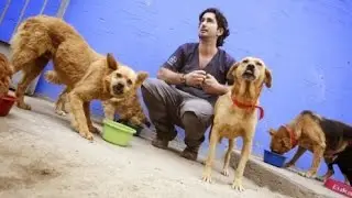 Esta Canción Que Tengo Contigo. Nr.5 con el Veterinario de los Pobres, Francisco Bryce,