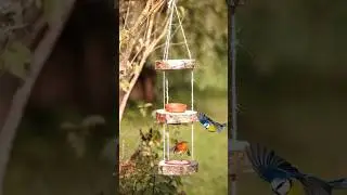 Simple garden ideas #garden