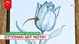How to Draw a Realistic Tulip | Turkish National Flower Tutorial (18)