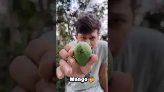 I Burned A Mango 🥭 #shorts