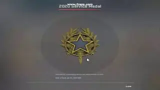 Getting 2020 Service Medal in CSGO ⭐⭐⭐