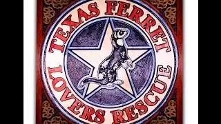 Texas Ferret Lovers Rescue