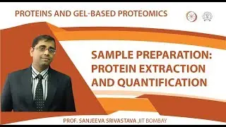 Sample preparation: Protein extraction and quantification