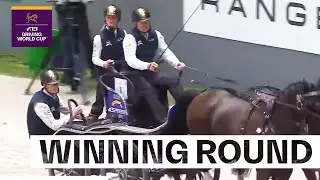 Another day, another victory for Boyd Exell! 🏆 |  FEI Driving World Cup&trade; Geneva 2025