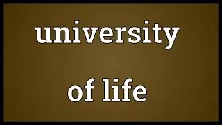 University of life Meaning