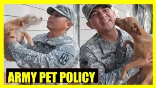 ARMY LIFE ON BASE: MILITARY PET POLICY