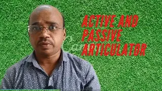 Active and Passive Articulators