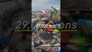 How to Clean Plastic Waste from Rivers | Cleanup Methods Explained | Geo Digital