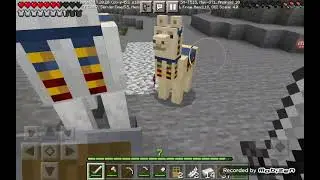 j'ai finis ma maison et mon armure en fer (minecraft)