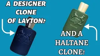 A Designer Clone of Layton?! | Plus a Clone of Haltane! | Lalique White in Black & Ajmal Amber Zest!