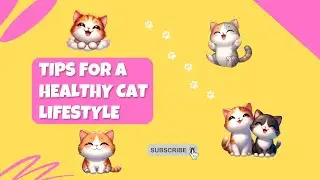 Purr-fectly happy : Tips for a healthy cat lifestyle