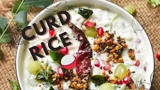 Curd rice 🍚🌾 ( തൈര് സദാം )