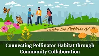 Planting the Pathway: Connecting Pollinator Habitat through Community Collaboration