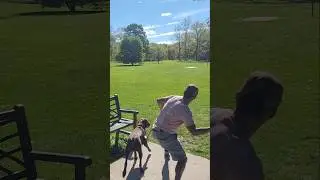 Da Dip Disc Golf Duo: Richie & Roscoe&rsquo;s Hilarious Hips on the Course! 😂🐾