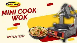 Fried Rice Making in Mini Cook-Wok 🔥 | 5KW Induction Cook Wok Demo | Gravy & Starters Mixer Machine