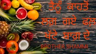 ||Tenu katon lag gay phal khate bagh de|| worship brother shammi||
