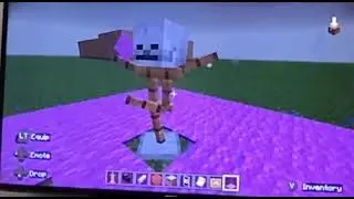 Minecraft is going on the phone with grimis Seleng grimis shayce and seleng phone number