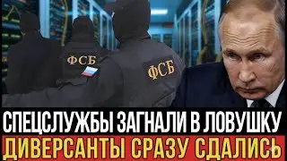 Засада для диверсантов: все задержаны и допрошены, планы крупной атаки сорваны