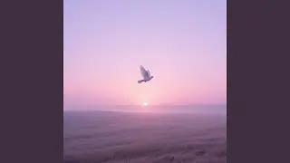 When Will Peace Come