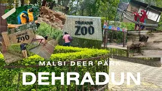 Malsi Deer Park ll Dehradun Zoo ll चिड़िया घर देहरादून 2025