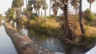 (St-8) 9 Acres agricultural land for sale in ERODE - Bala 9842770020