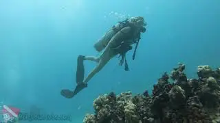 Beginner Scuba Diving | Honolulu Hawaii | 09-17-2019