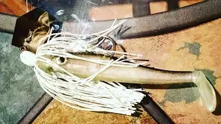 Winter bass fishing, cold weather chatterbait tips and success
