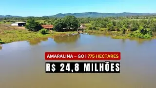 Fazenda &agrave; venda em Amaralina no Goi&aacute;s, 775 ha, estrutura completa. Ativo pronto por R$ 24,8 Milh&otilde;es